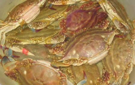 香辣蟹 一步步步教你 制作出正宗川菜味道