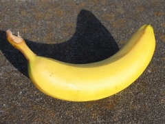 㽶ʱס