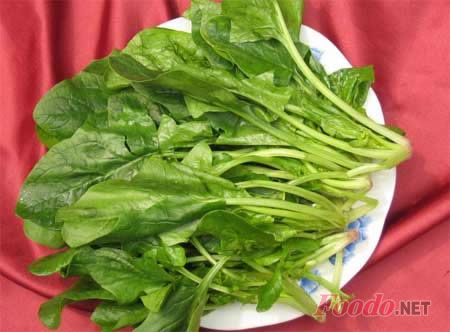 只要方法对 吃菠菜不会影响儿童钙吸收