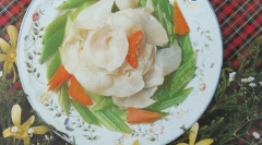 西芹炒螺片 粤菜食谱 制作方法及美图欣赏