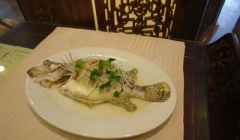清蒸鲑鱼 原料有鲑鱼 萝卜泥