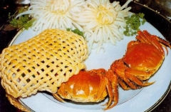 дբз ԭдբз 
